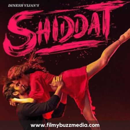 Shiddat Journey Beyond Love Movie Review Disney+Hotstar